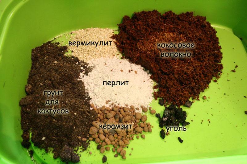 ingrediënten voor bodemcactussen