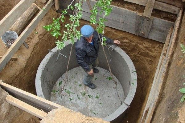het betonneren van de bodem van de septic tank