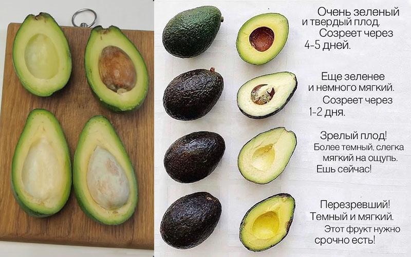 hoe kies je een avocado in de winkel