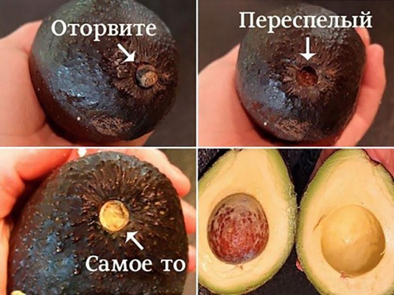 de juiste avocado kiezen