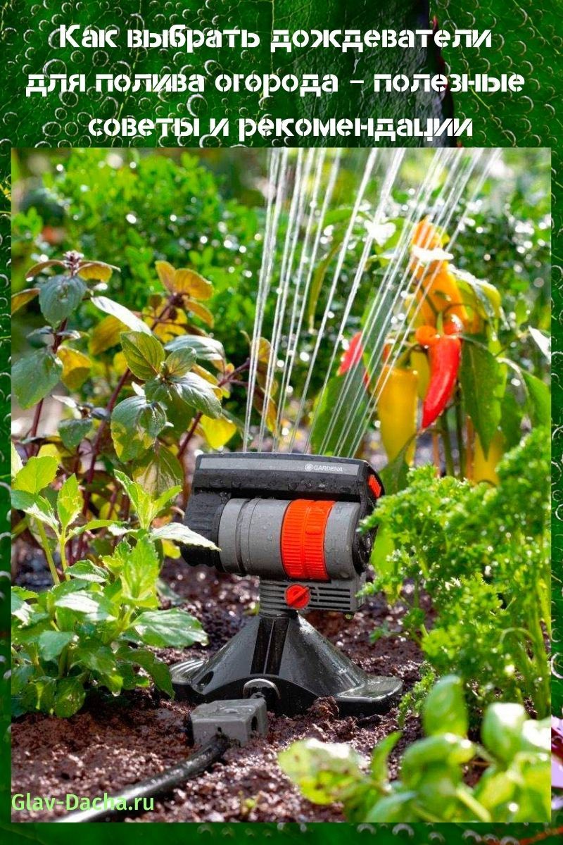 Kako odabrati prskalice za zalijevanje vašeg vrta