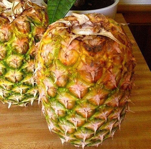 Ovako se ananas čuva kod kuće za sazrijevanje