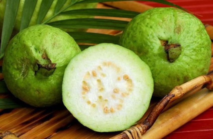 plod guave