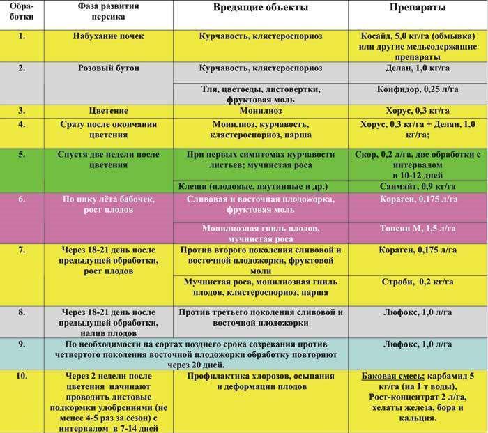verwerkingsschema voor perziken in de regio Moskou