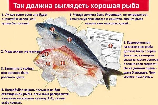 regels voor de selectie van vis om te zouten