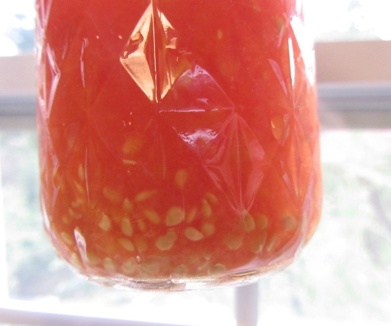 namočite sjemenke rajčice