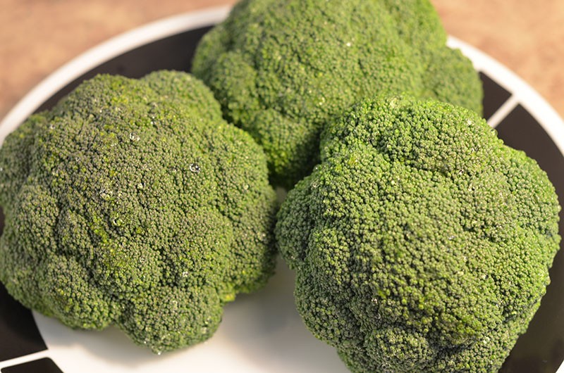 selectie van broccoli om in te vriezen