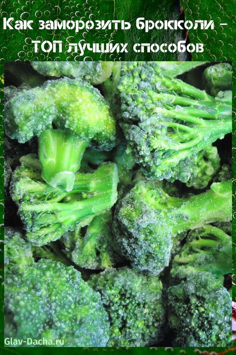 hoe broccoli in te vriezen