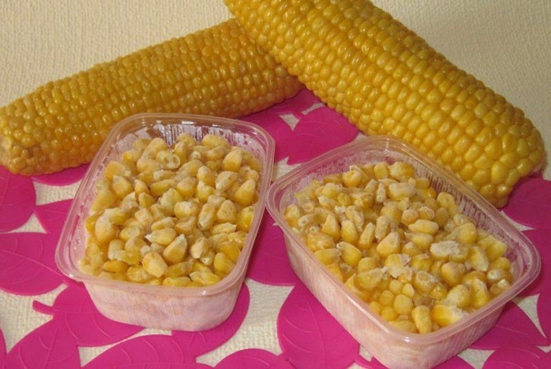 maïs in de vriezer bewaren