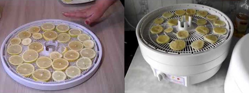 hoe citroen te drogen voor decoratie in een elektrische droger