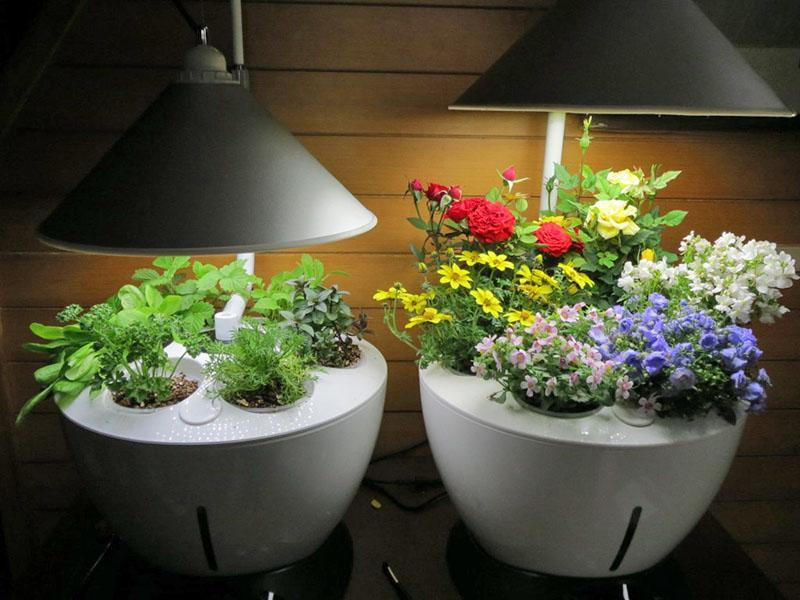 efficiënte plantenlampen