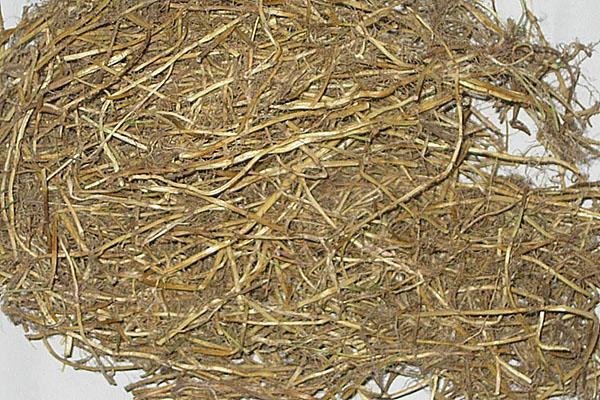 ljekovita svojstva pšenične trave