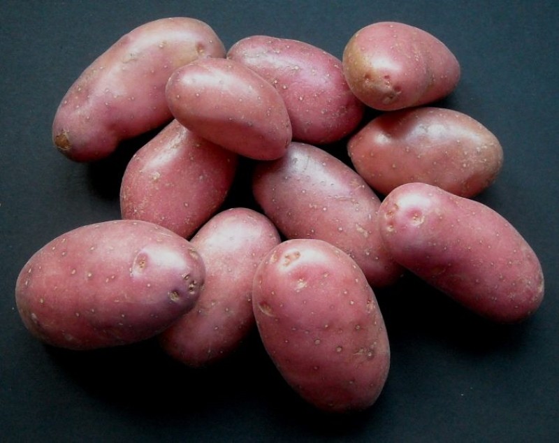 sorta višnjevog krumpira