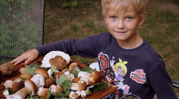 kinderen jonger dan 7 jaar mogen geen paddenstoelen gebruiken