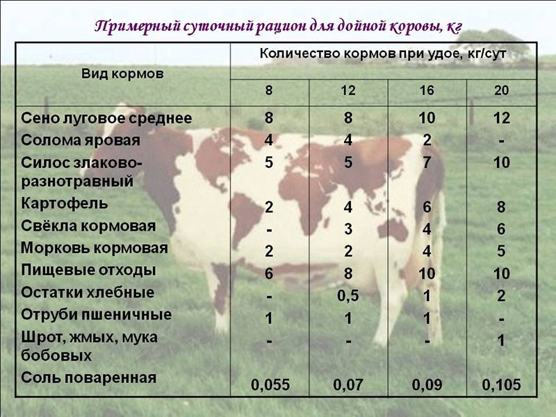 dagrantsoen met melkgift van 8 tot 20 liter