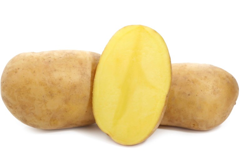 knolgewas aardappel lelie