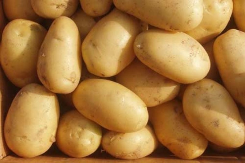 voor- en nadelen van aardappellelie