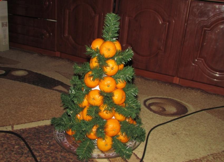 stablo mandarine