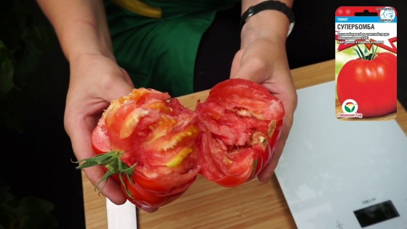 tomaat fruit superbom