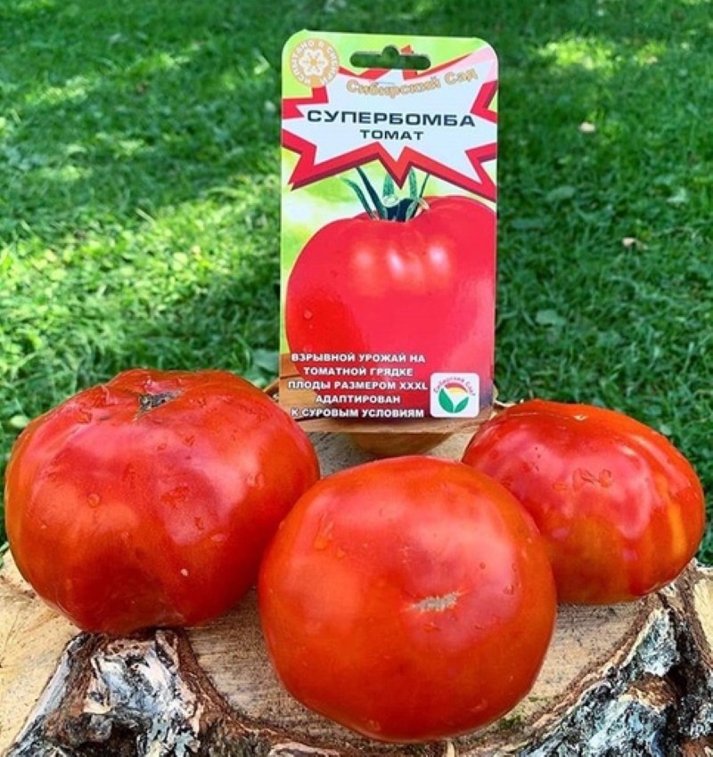 Voors en tegens van tomaat superbom