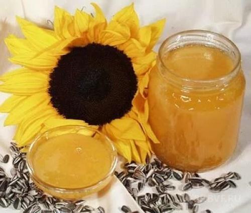 zonnebloem honing