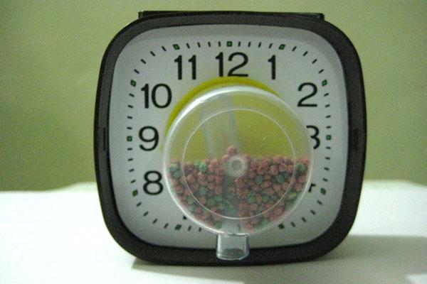 zelfgemaakte automatische klokfeeder