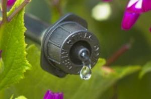 Druppelaar voor irrigatie van bedden