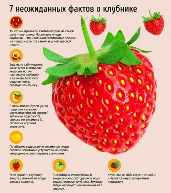 Interessante feiten over aardbeien