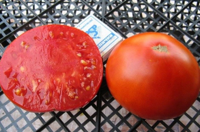 tomatenrassen koning vroeg