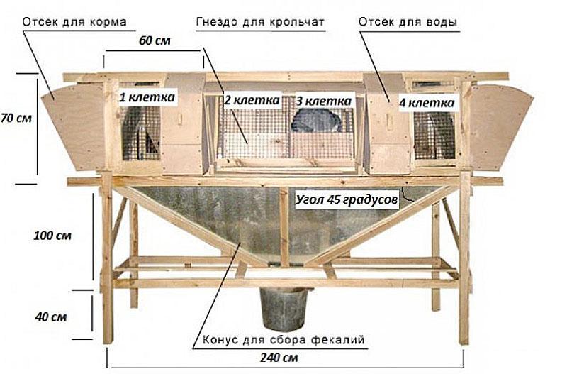 Mikhailov's konijnenkooi