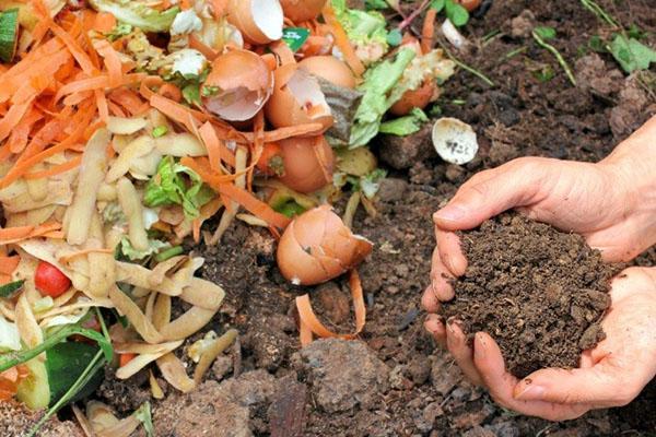 voedselafval voor compost