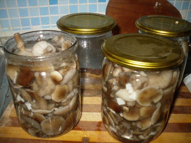 kant-en-klare champignons met marinade gieten