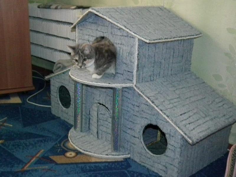 doe-het-zelf huis met twee verdiepingen voor een kat