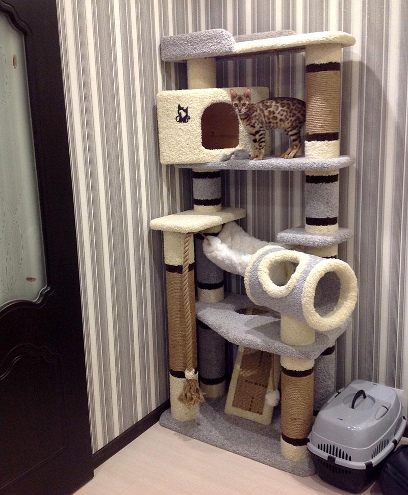 speelruimte voor katten