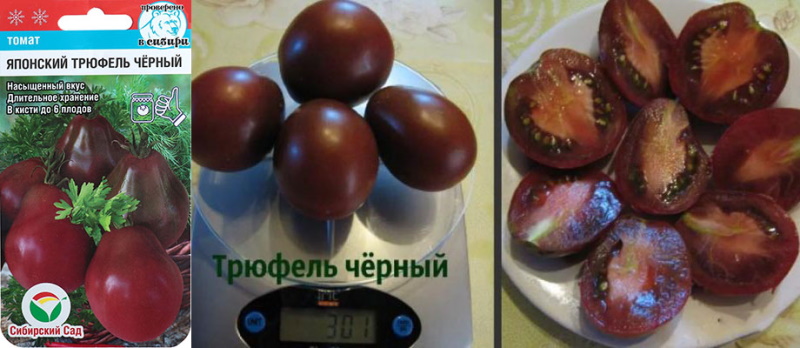 ras tomaat japanse truffel zwart