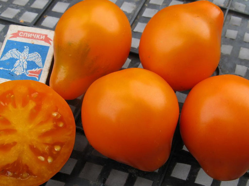 ras tomaat japanse truffel sinaasappel