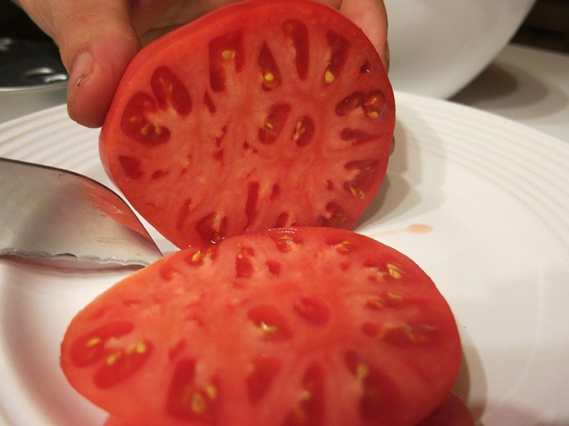 gastvrije tomaat cutaway