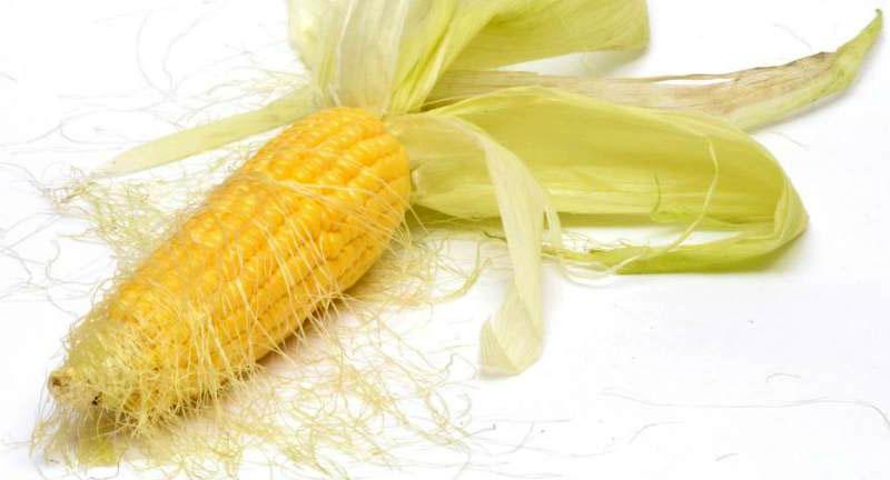 geneeskrachtige eigenschappen van maïsstempels