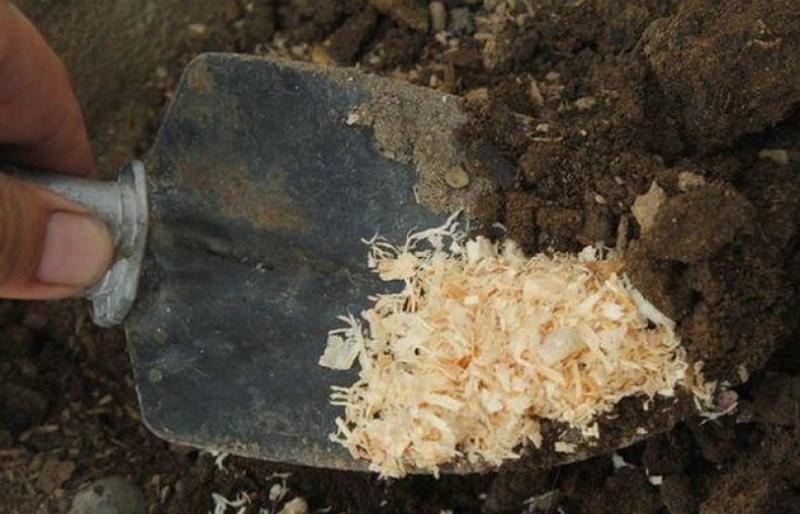 kako napraviti smjesu tla s piljevinom