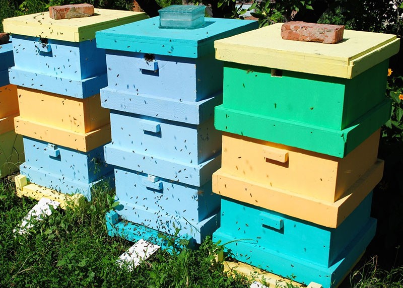 doe-het-zelf bovenste en onderste bijenkastingangen
