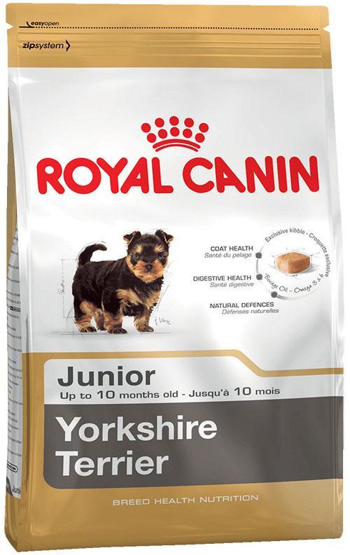 droogvoer voor jonge Yorkshire Terrier-honden