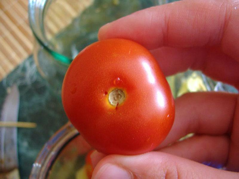 prik in de vrucht van de tomaten