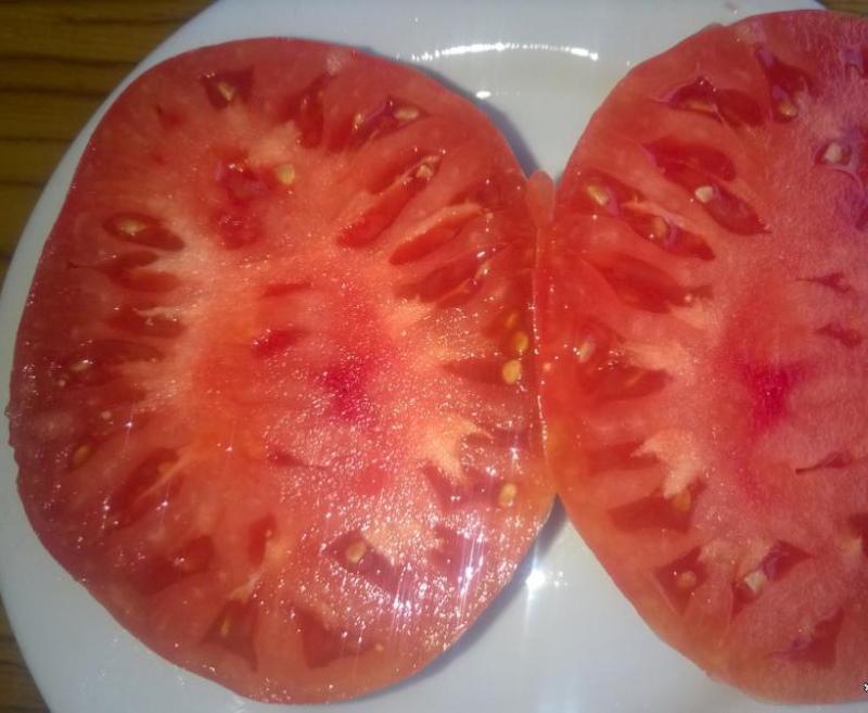 opengewerkte tomaat arendsnavel