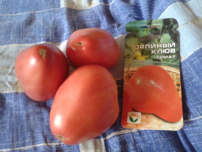 tomaat adelaar snavel beoordelingen foto