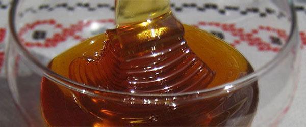 koriander honing