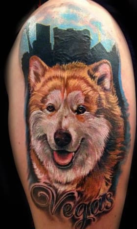 Joey Hamilton-kutya (Chow/Husky) Portré (Vegas) Tetoválás Joey Hamilton-kutya (Chow/Husky) Portré (Vegas) Tetoválás