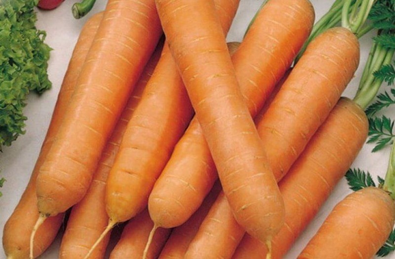 de voor- en nadelen van wortel tushon