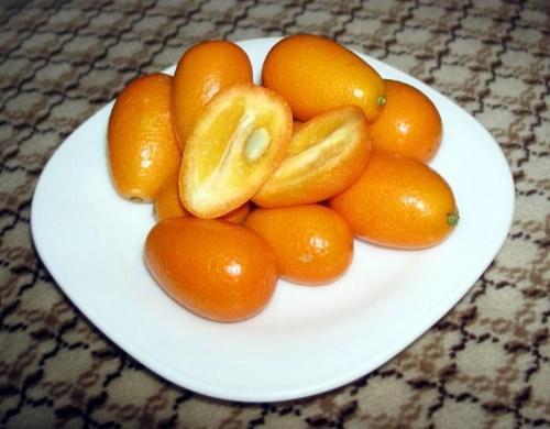 može li kumquat izazvati cistitis
