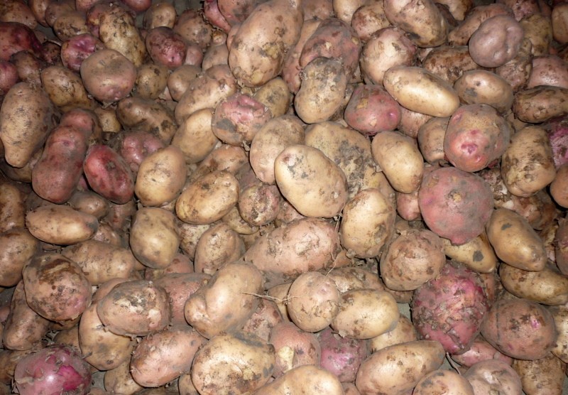 is het mogelijk om bevroren aardappelen te eten?