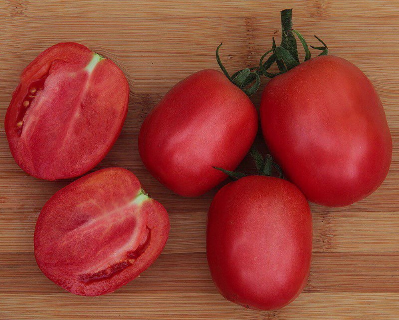 vruchten van tomaat stolypin